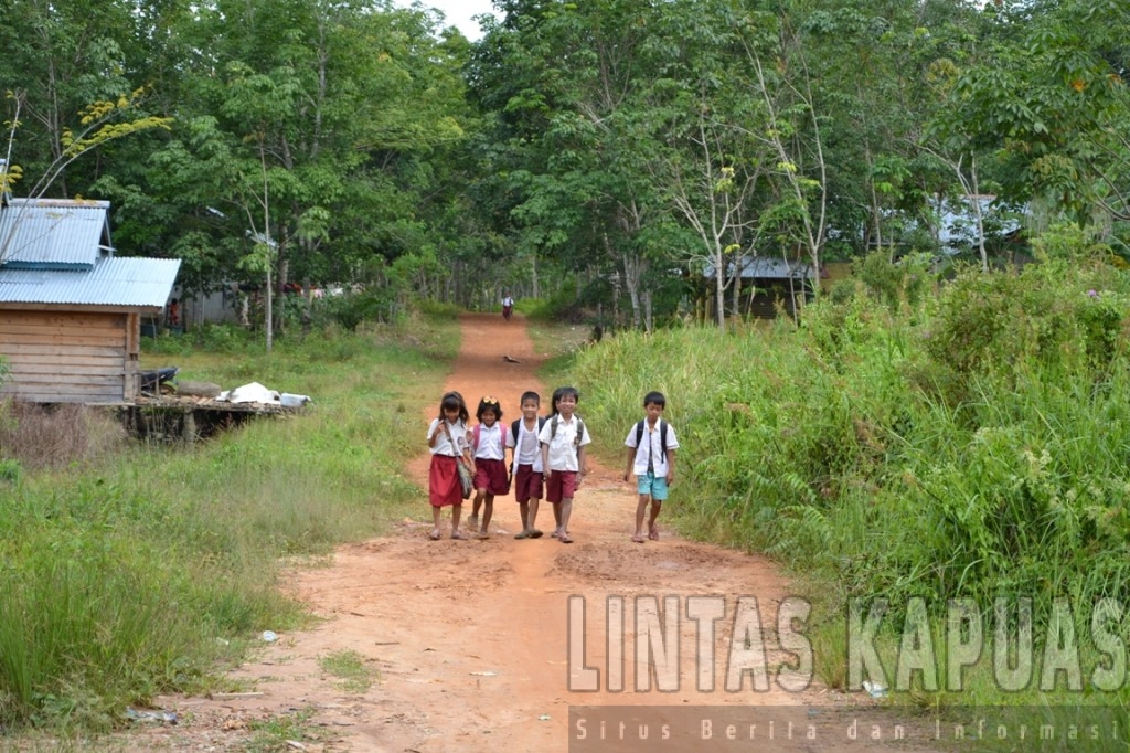 Sejumlah pelajar Dusun Terumbuk tampak riang usai pulang sekolah di Lanjing. Meski harus berjalan kaki kurang lebih satu jam, mereka rela menjalani rutinitas tersebut untuk menuntut ilmu. Foto : Yusrizal Bota