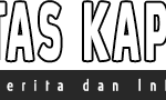 logo-3