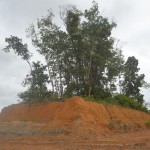 makam yang terletak di tengah-tengah landasan Pacu Tebelian Air Port Dipiindahkan