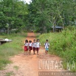 Foto A–zal–ok (2)