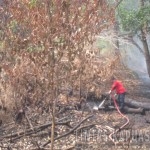 Tim Gabungan bersama-sama melakukan pemadaman api disejumlah titik lahan yang terbakar diwilayah Sintang (3)