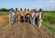 Dukung Ketahanan Pangan, Kapolsek MHS dan Kades Sungai Pelang Lakukan Penanaman Jagung