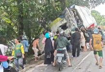 Bus DAMRI Sintang–Pontianak Kecelakaan di Desa Penyeladi, Rem Diduga Blong