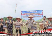Sekda Ketapang Ikuti Panen Raya Jagung Serentak Nasional, Dukung Swasembada Pangan