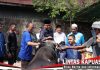Iduladha 1447 H, Polres Ketapang Salurkan 11 Sapi dan 3 Kambing Kurban ke Masyarakat