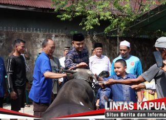 Iduladha 1447 H, Polres Ketapang Salurkan 11 Sapi dan 3 Kambing Kurban ke Masyarakat