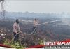 Operasi Aman Nusa II: Brimob Polda Kalbar Padamkan 3 Hektare Lahan Terbakar di Manis Mata