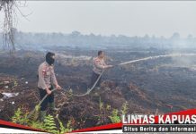 Operasi Aman Nusa II: Brimob Polda Kalbar Padamkan 3 Hektare Lahan Terbakar di Manis Mata